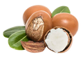 Shea Butter